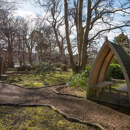 The - The Collection Group