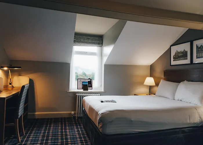 The - The Collection Group كونيستون