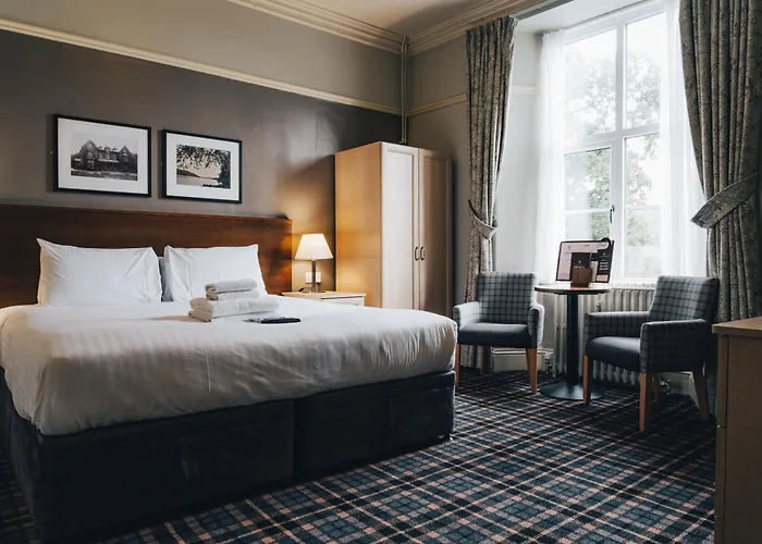 The - The Collection Group 4*