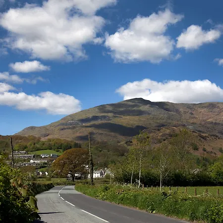 イン The - The Collection Group