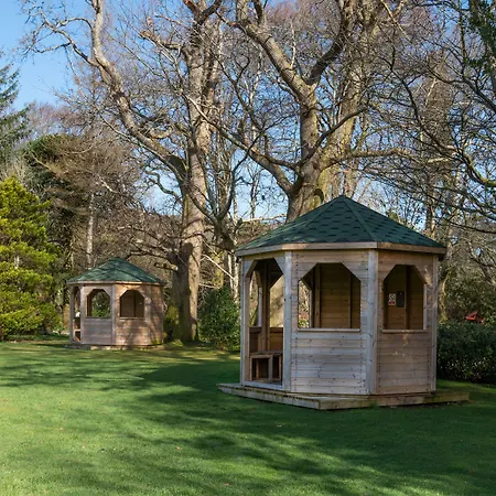 The - The Collection Group 4*