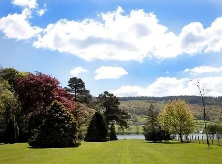 イン The - The Collection Group