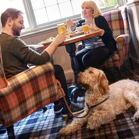 The - The Collection Group