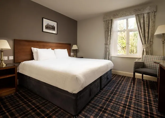 The - The Collection Group 4*