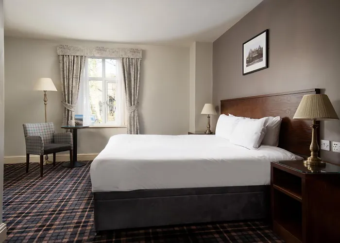 The - The Collection Group 4*