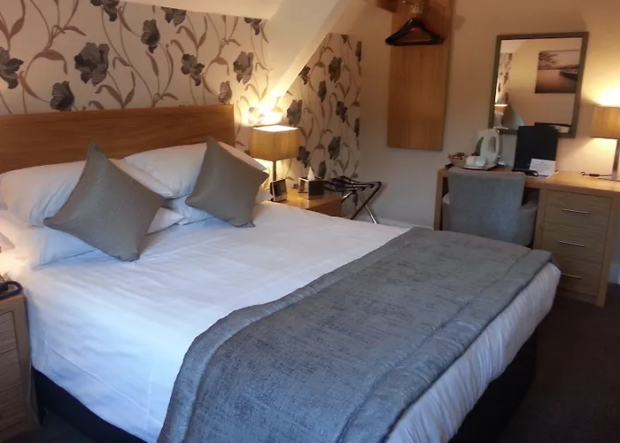 The - The Collection Group 4*