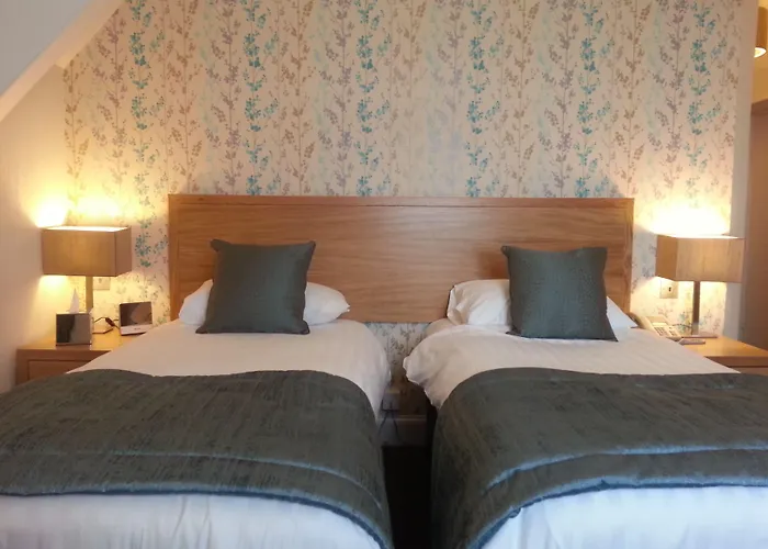 The - The Collection Group Kro