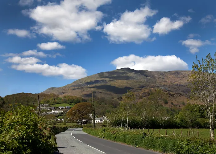 Kro The - The Collection Group