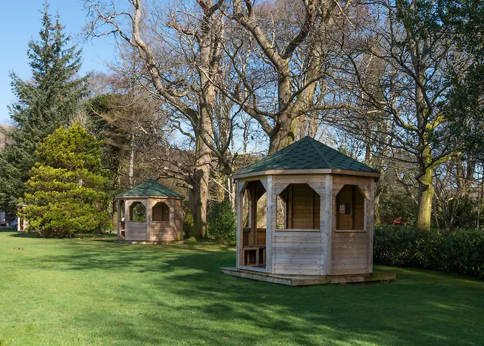 The - The Collection Group 4*