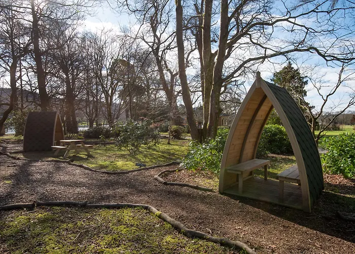 The - The Collection Group