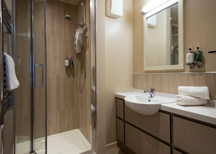 The - The Collection Group 4*