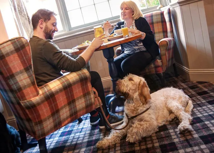 The - The Collection Group